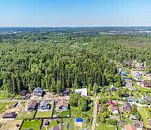 Малое лесное