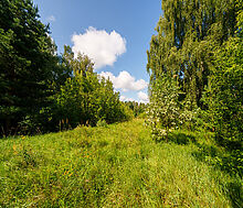 Участок у воды Витенево