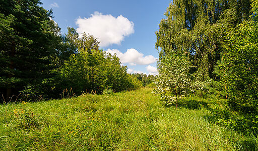 Участок у воды Витенево
