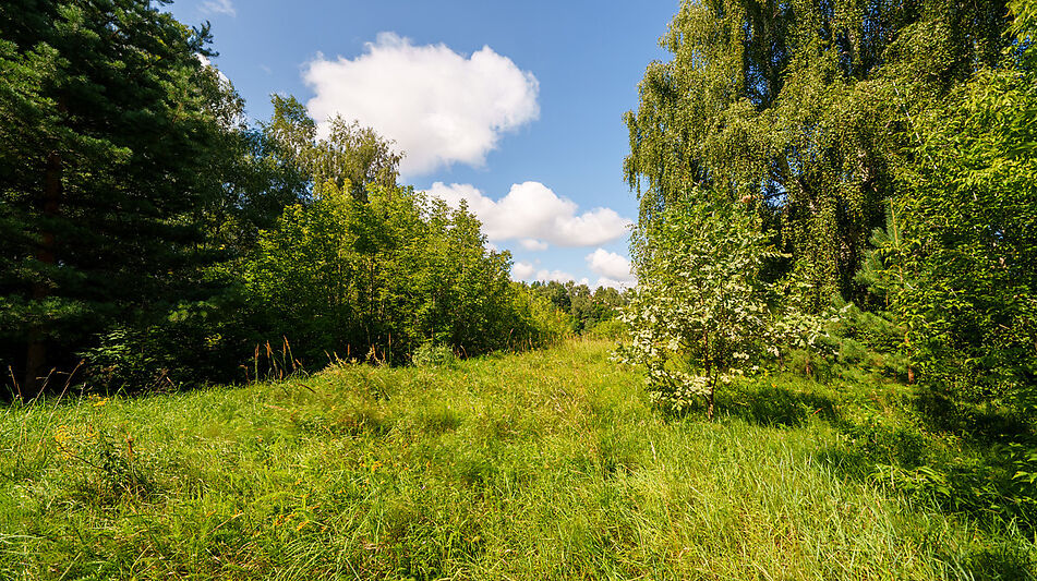 Участок у воды Витенево