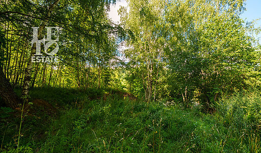 Участок у воды Витенево