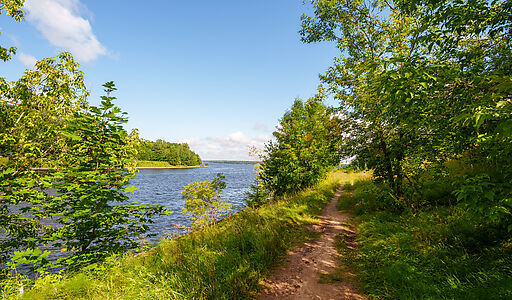 Участок у воды Витенево