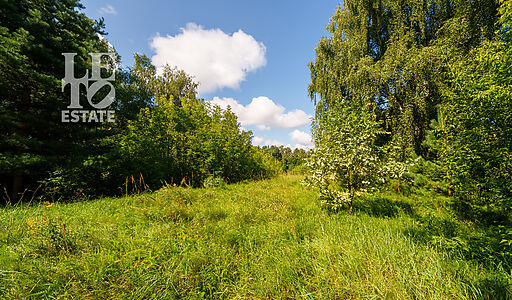 Участок у воды Витенево