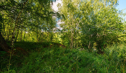 Участок у воды Витенево