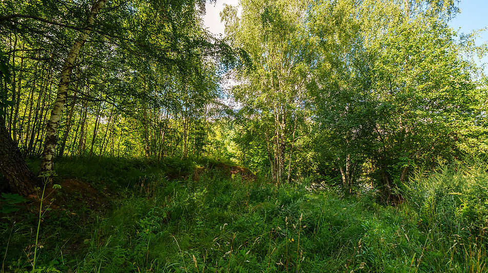 Участок у воды Витенево
