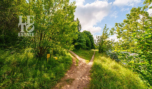 Участок у воды Витенево
