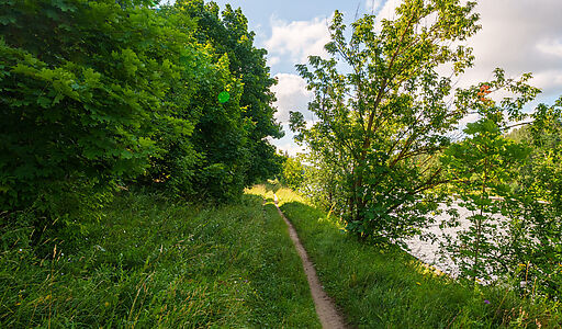 Участок у воды Витенево