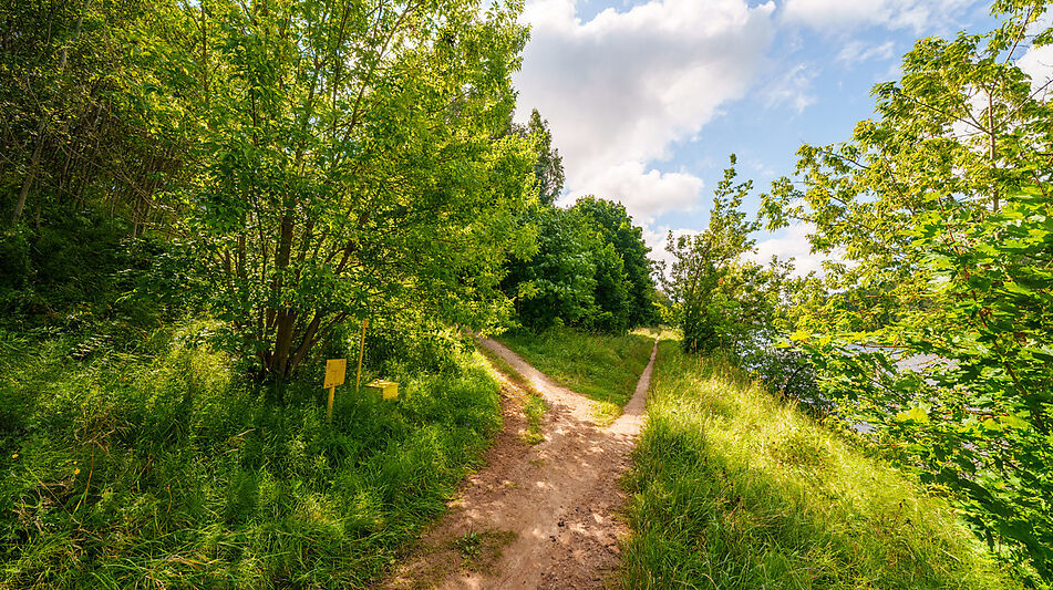 Участок у воды Витенево