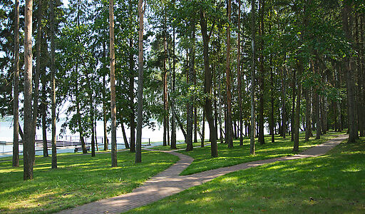 Участок 1 линия КП Лазурный берег