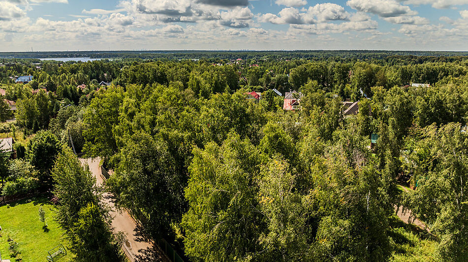 Дом на острове Витенево