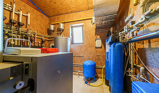 Дом на острове Витенево