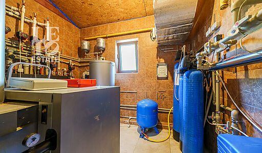 Дом на острове Витенево