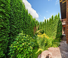 Дом на острове Витенево