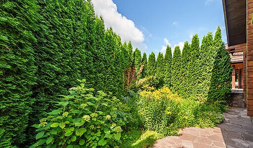 Дом на острове Витенево