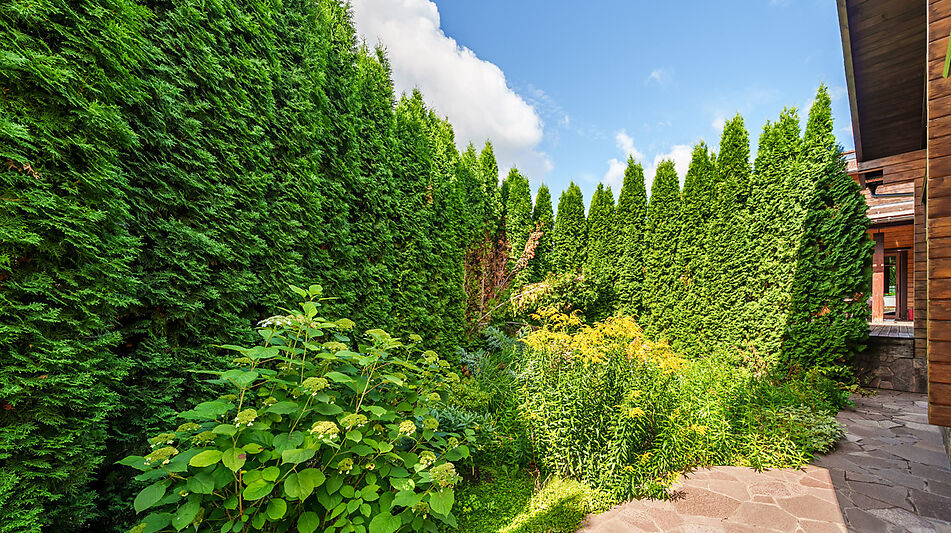 Дом на острове Витенево