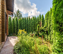 Дом на острове Витенево