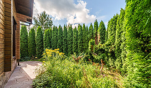 Дом на острове Витенево