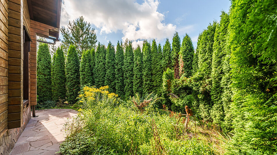 Дом на острове Витенево