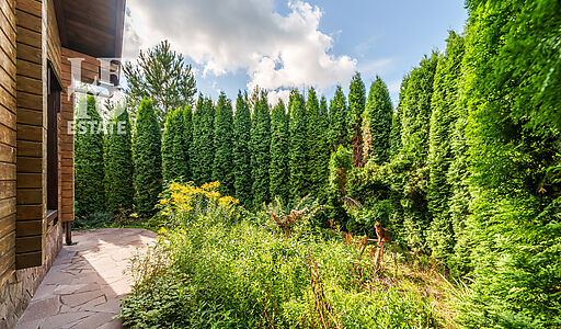 Дом на острове Витенево