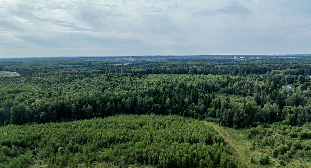 Калипсо Вилладж-1