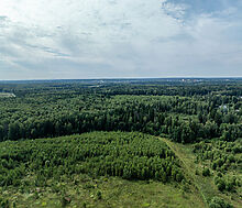 Калипсо Вилладж-1