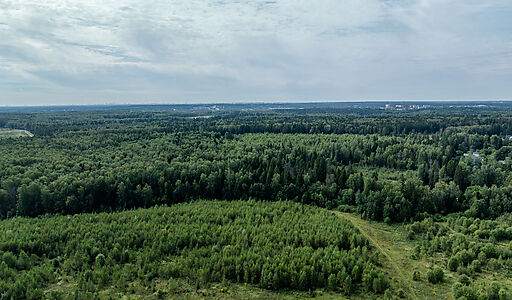 Калипсо Вилладж-1