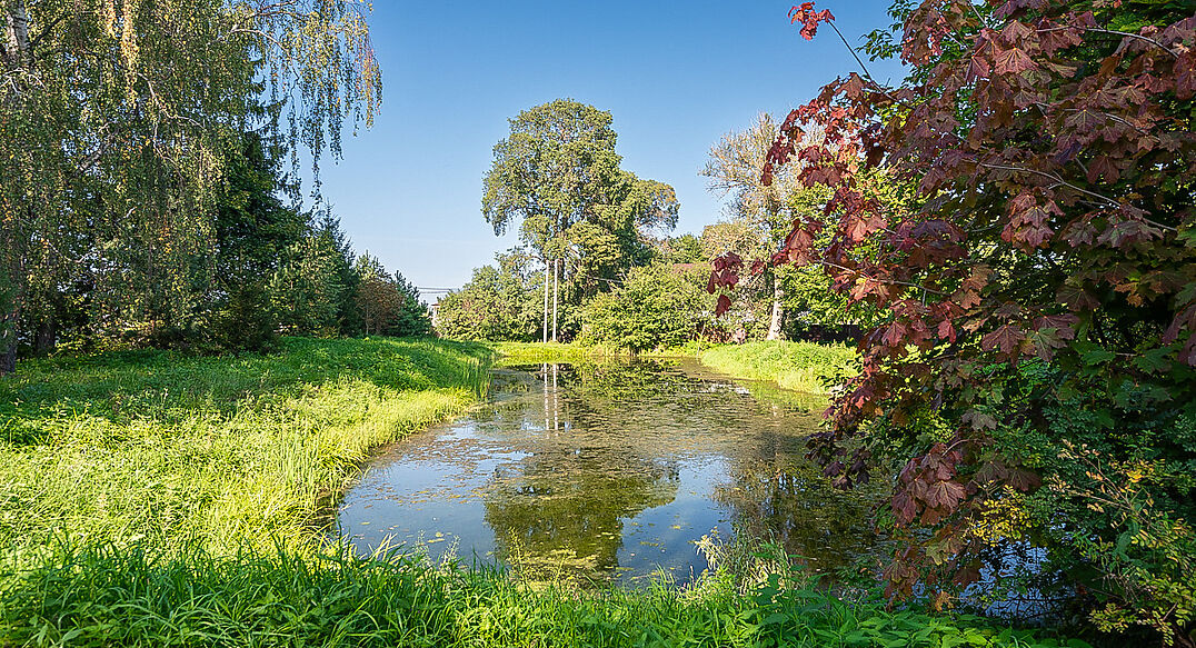 Деревня Волдынское
