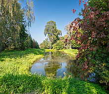 Деревня Волдынское