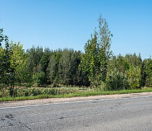 Деревня Волдынское