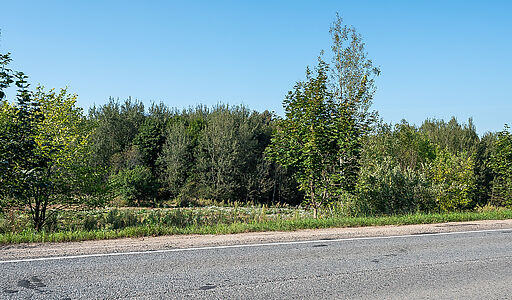 Деревня Волдынское