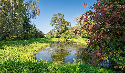 Дом с баней в Волдынском