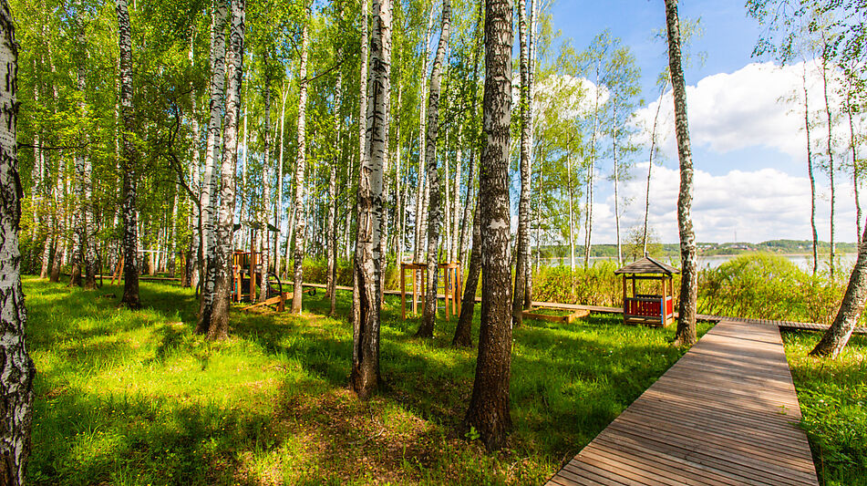 Респектабельный дом  Монаково