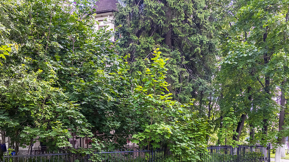 Дом у озера и парка в КП Довиль