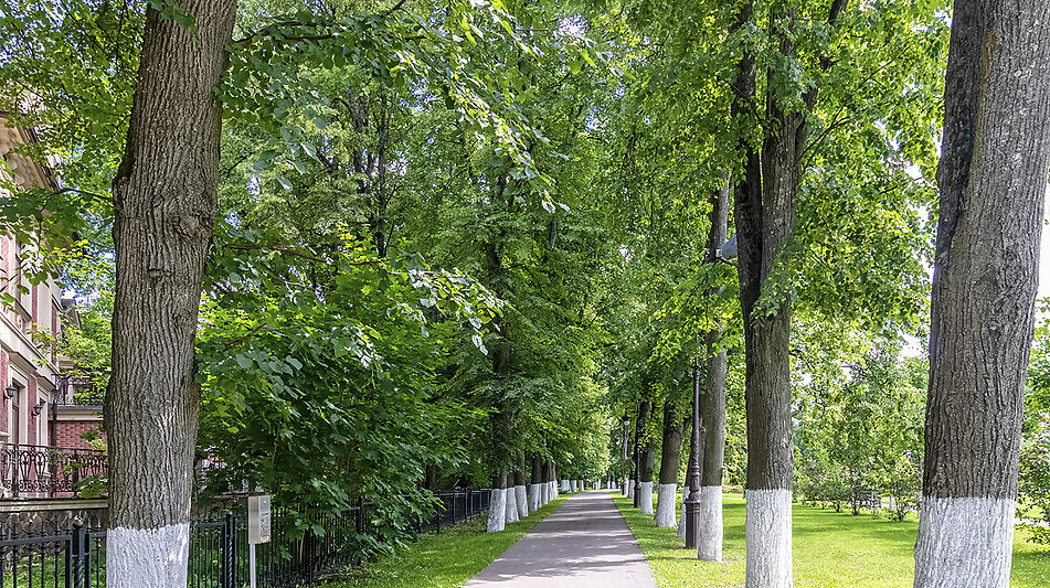 Дом у озера и парка в КП Довиль