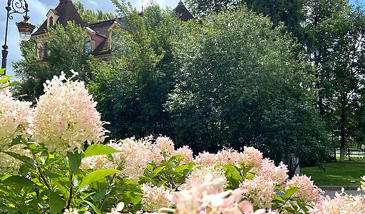 Дом у озера и парка в КП Довиль