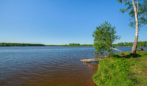 Участок в КП Аврора