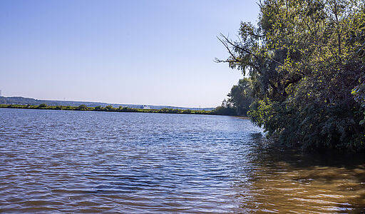Аренда дома КП Немо