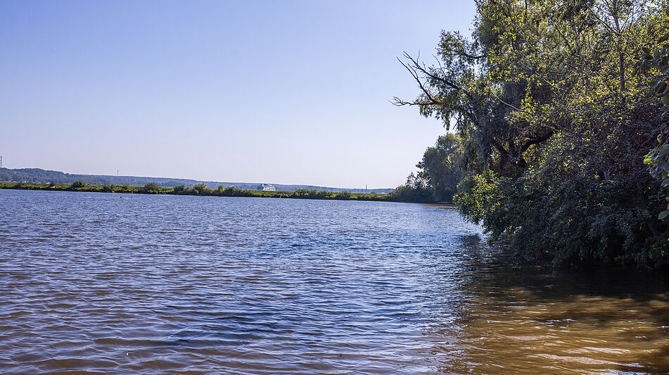 Аренда дома КП Немо