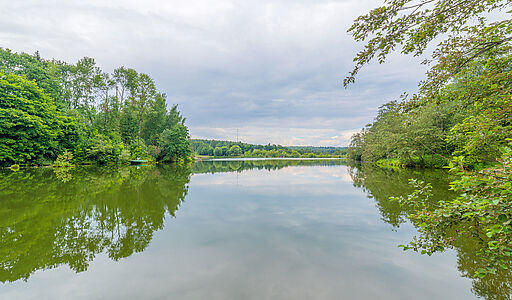 Ермолинские пруды