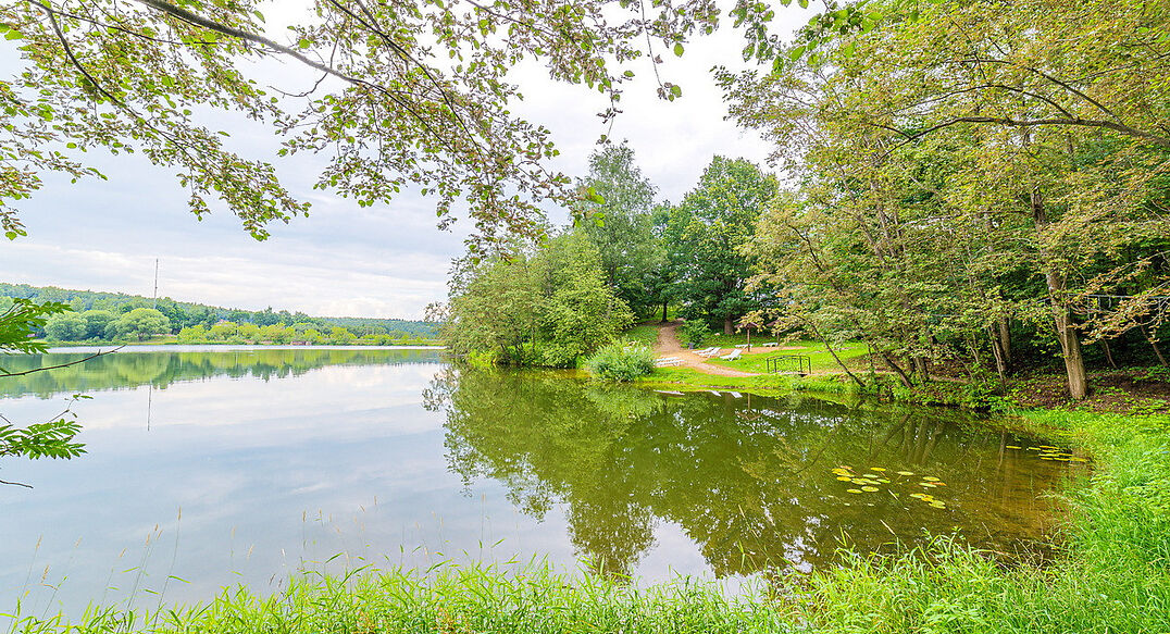 Ермолинские пруды