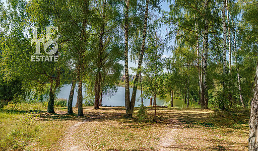 Уютный дом Ермолинские пруды