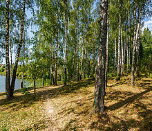 Уютный дом Ермолинские пруды