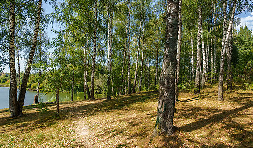 Уютный дом Ермолинские пруды