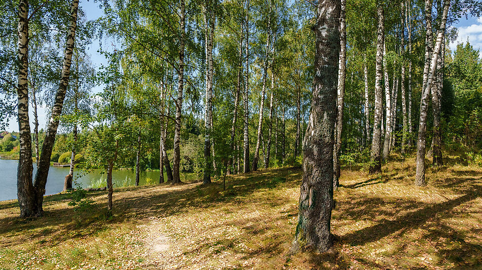 Уютный дом Ермолинские пруды