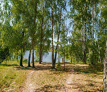 Уютный дом Ермолинские пруды