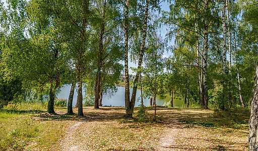 Уютный дом Ермолинские пруды