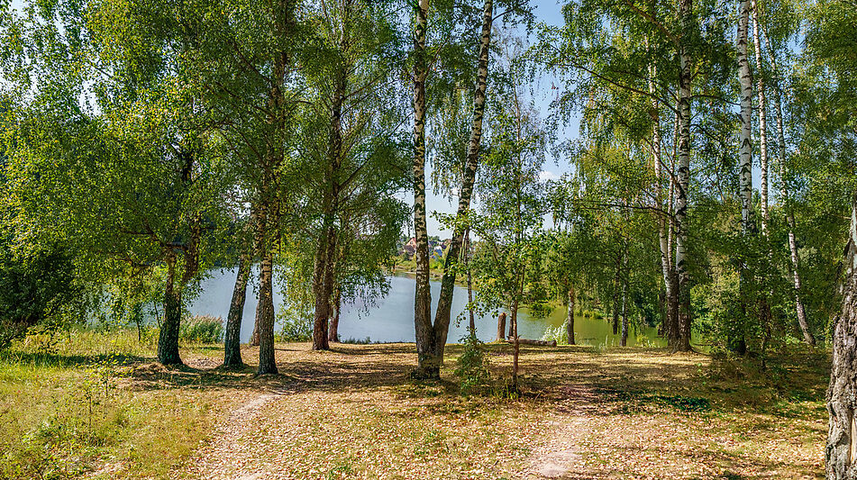 Уютный дом Ермолинские пруды