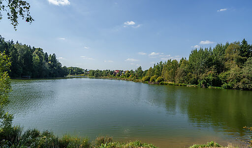 Уютный дом Ермолинские пруды