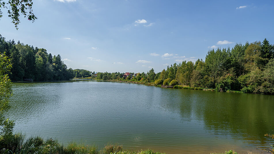 Уютный дом Ермолинские пруды