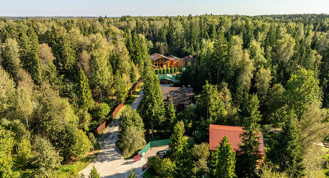 Живописный